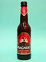 Magners Irish Cider Berry 33cl